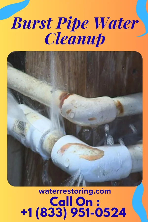 Burst Pipe Water Cleanup in Elm Creek, NE