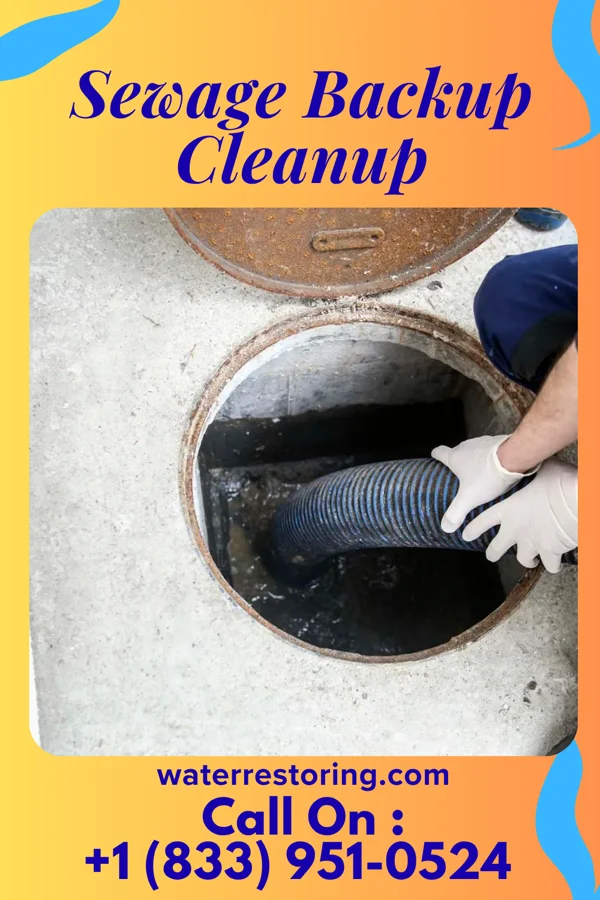 Sewage Backup Cleanup in Elm Creek, NE