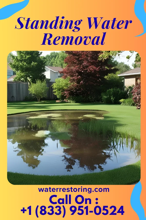 Standing Water Removal in Elm Creek, NE